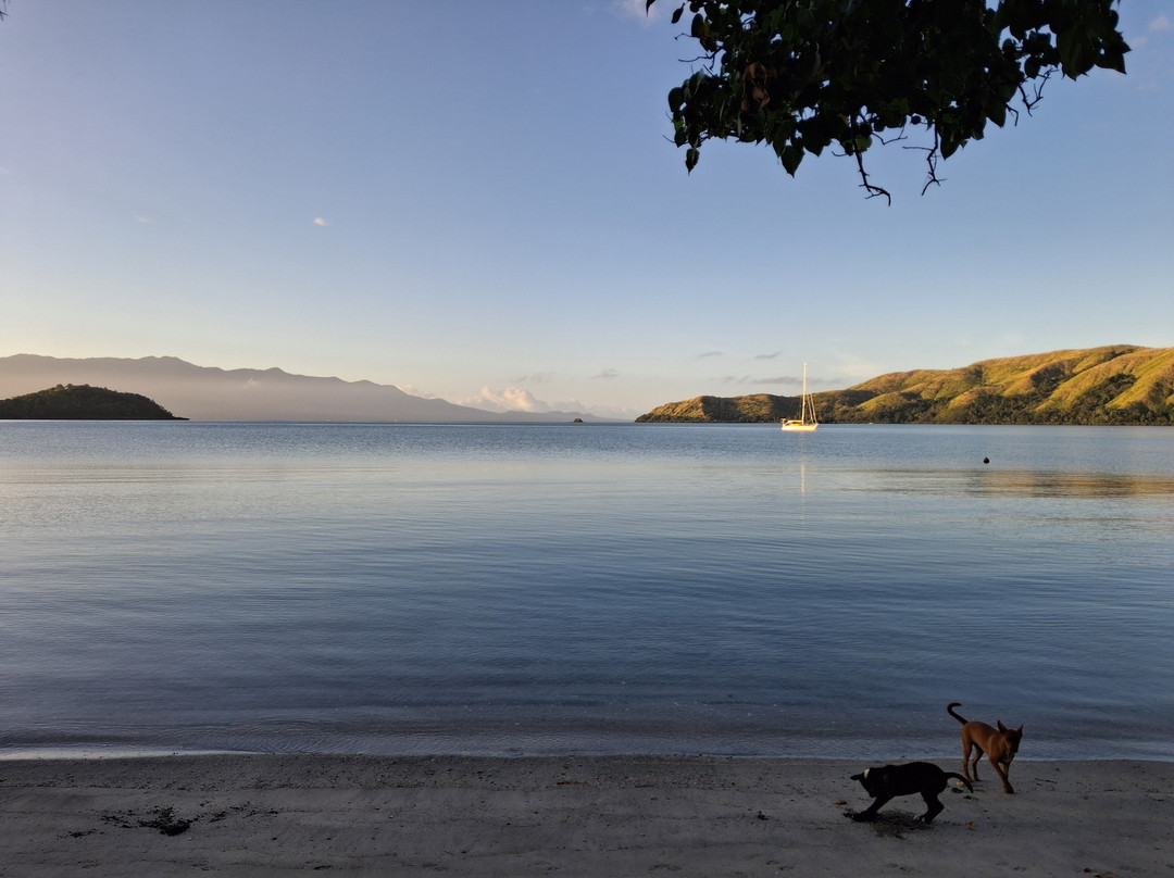 Dive Academy Fiji-Waiyevo必去景点
