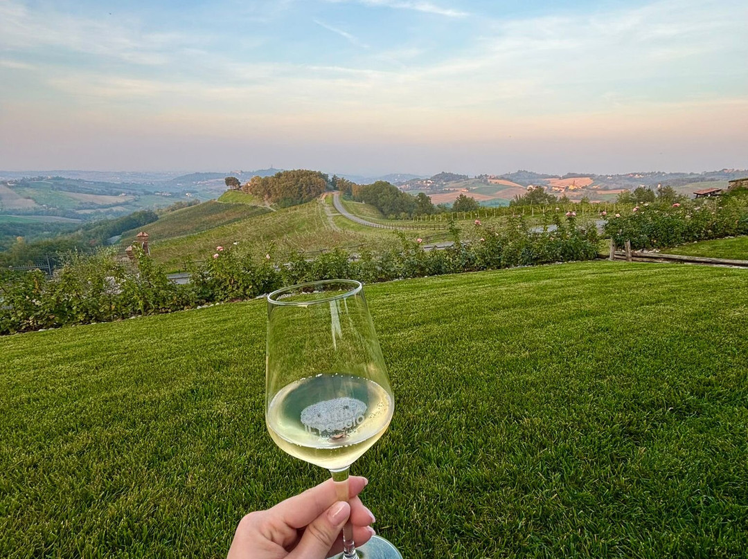 Cantina Il Poggio-萨尔索马焦雷泰尔梅必去景点