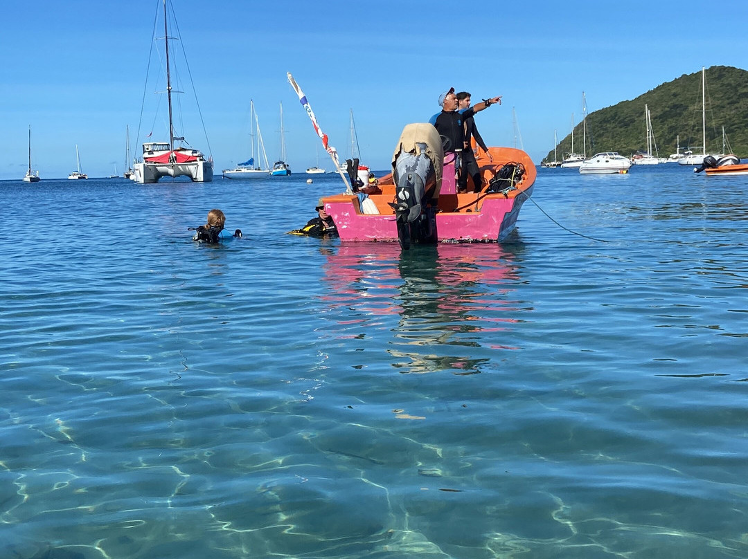 Bubble Dive-Les Anses d'Arlet必去景点