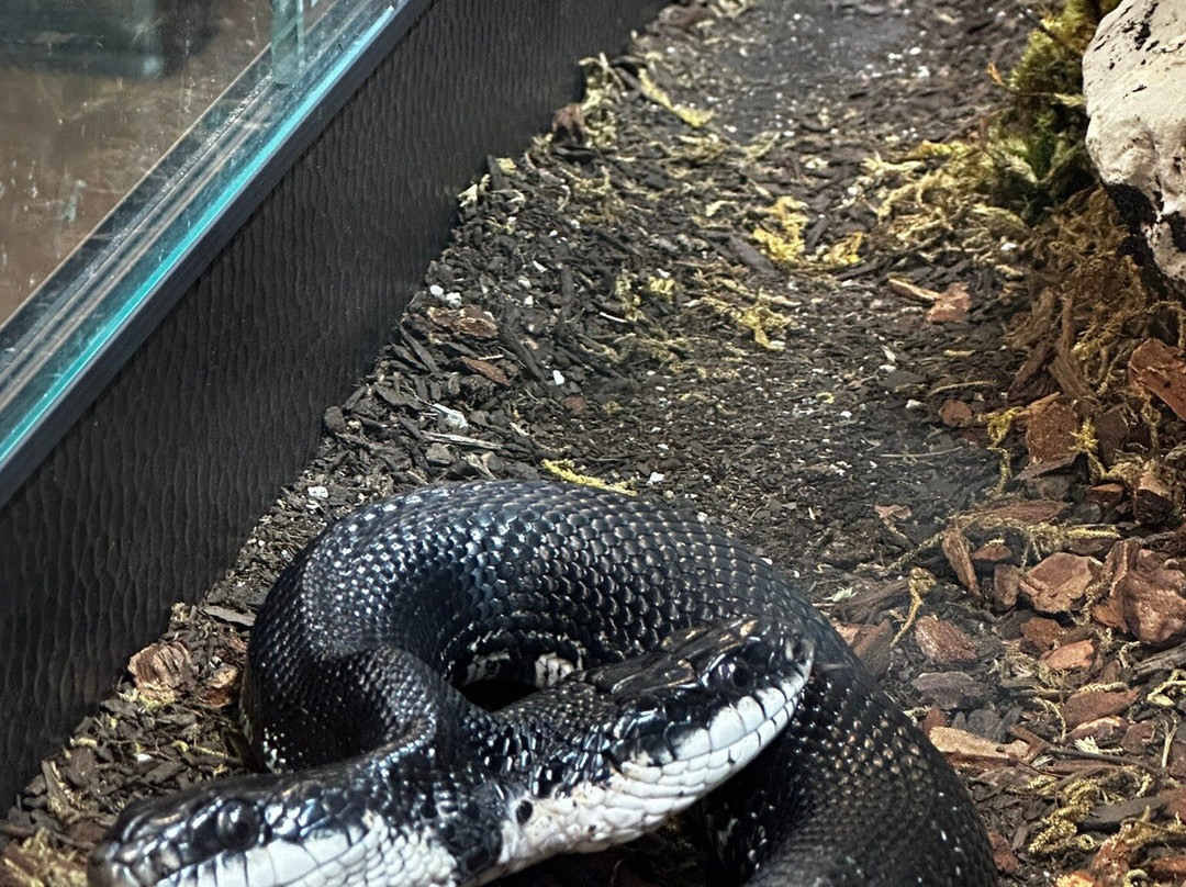 Shepherd of the Hills Fish Hatchery-布兰森必去景点