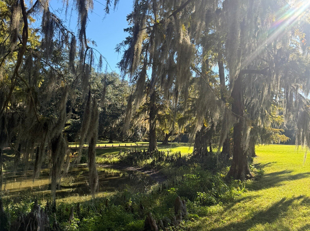 Discovery Bicycle Tours-伍德斯托克必去景点