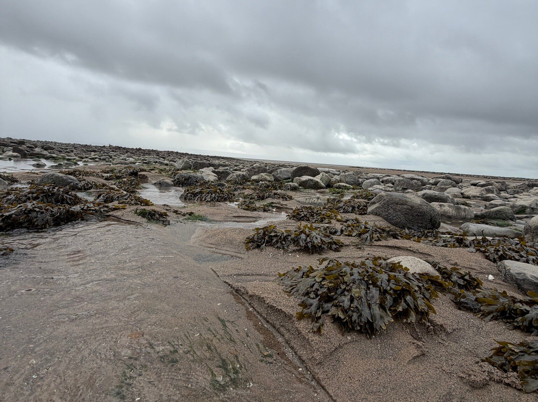 Llantwit Major Beach-Llantwit Major必去景点