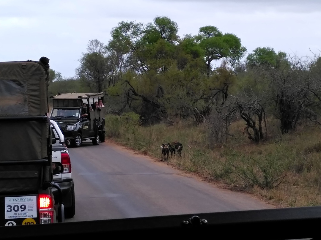 Royal Safaris-库马堤港必去景点