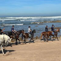 Horse Sidi Rahal-Sidi Rahal必去景点