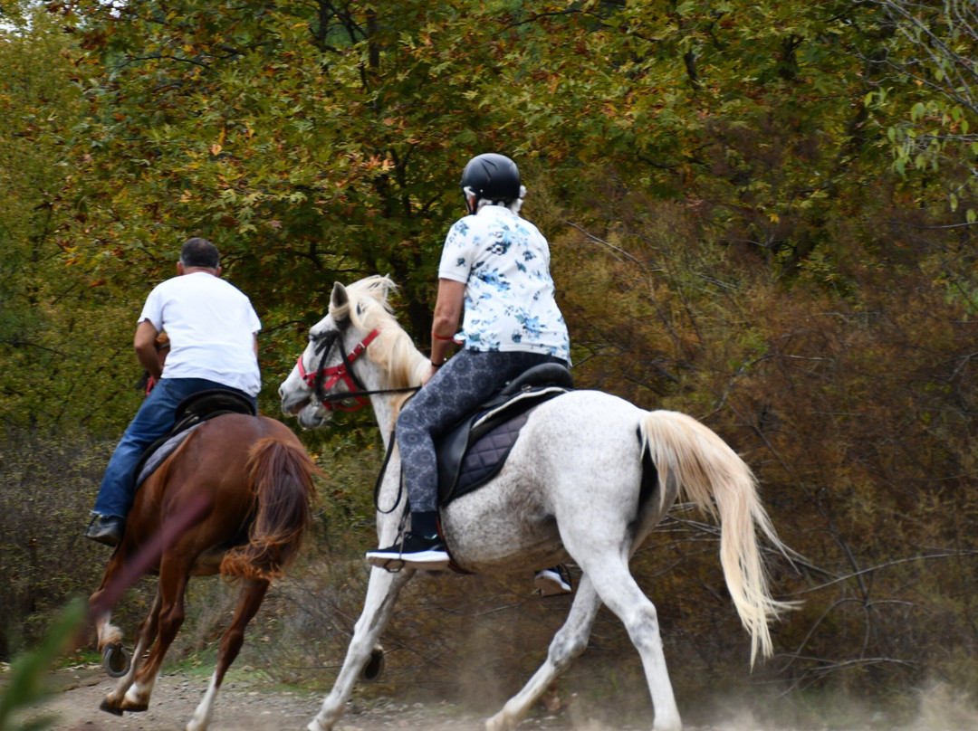Pinar Horse Safari-马尔马里斯必去景点