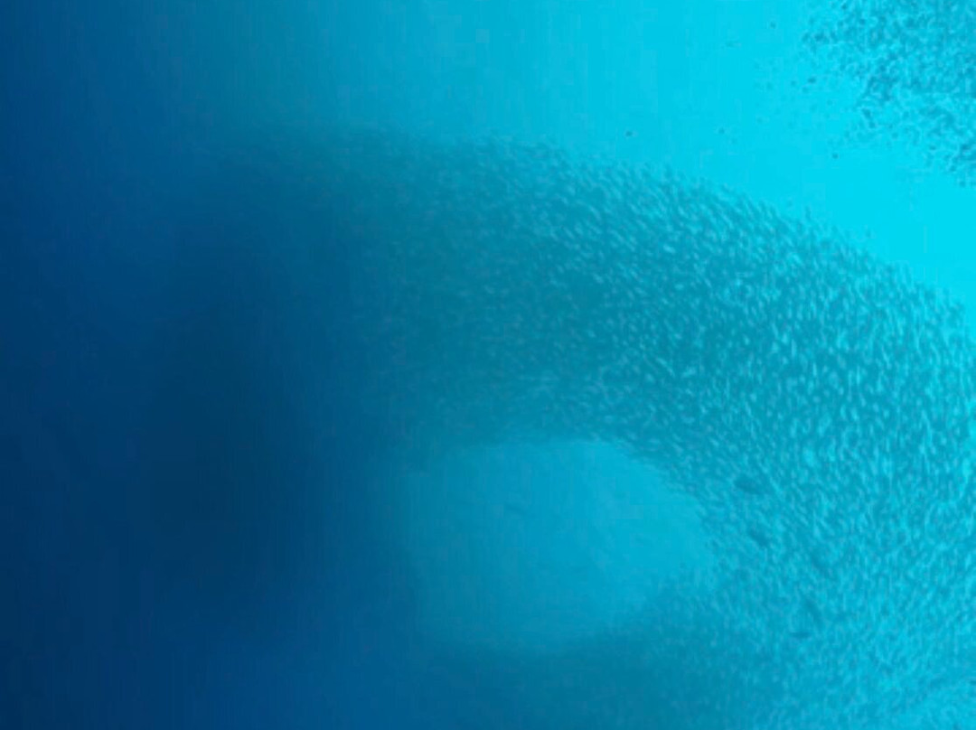 Porto Mari Sports-Sint Willibrordus必去景点