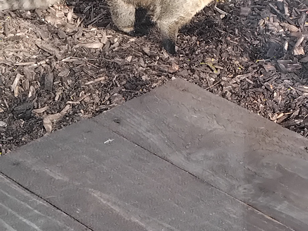 Filey Bird Garden & Animal Park-Filey必去景点