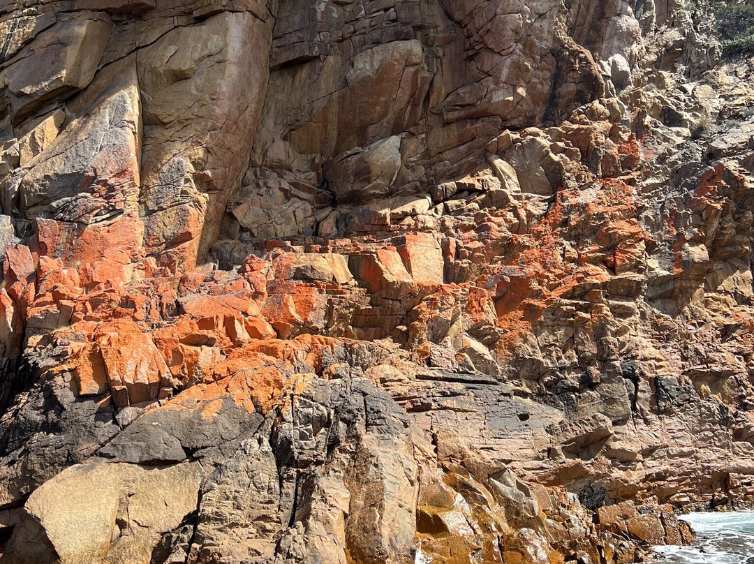 Wineglass Bay-科尔斯湾必去景点