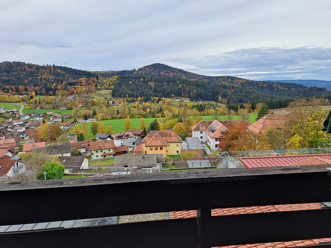 Wellnesshotel Hofbräuhaus主图