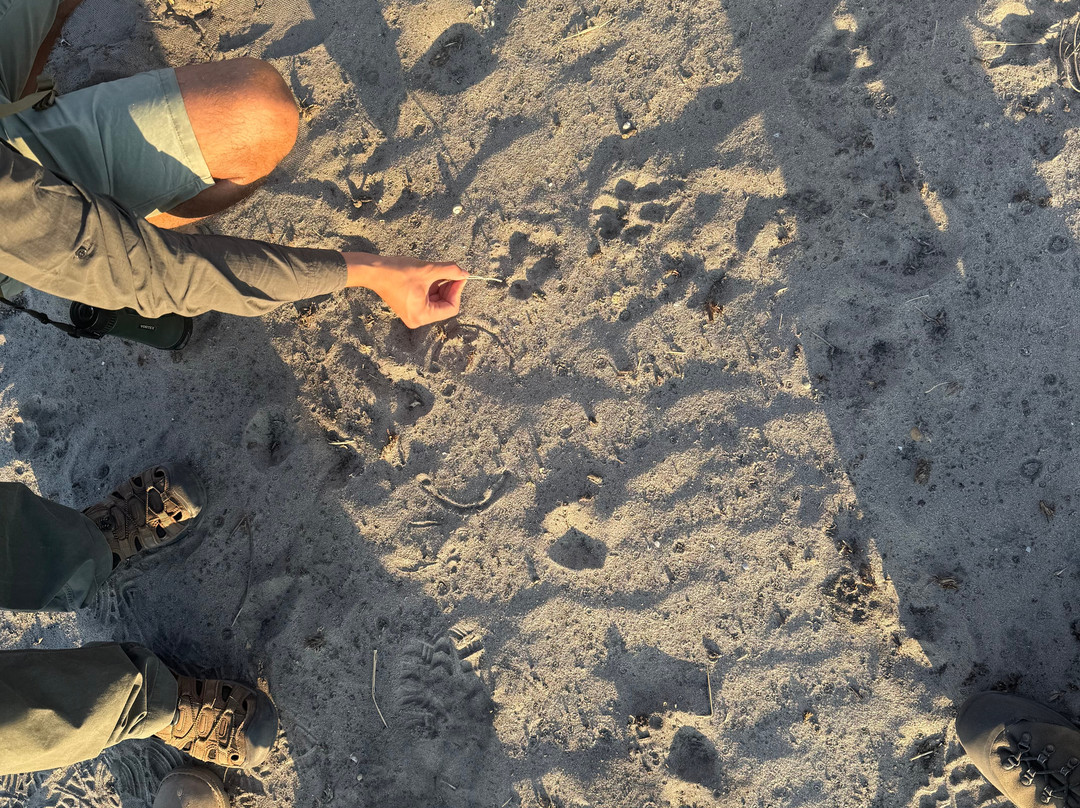 African Guide Academy-马翁必去景点