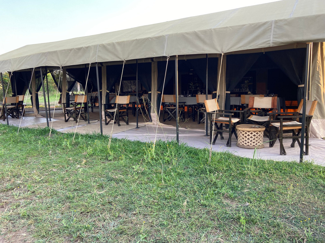 Wildlands Safaris (T) Ltd-塞伦盖蒂国家公园必去景点