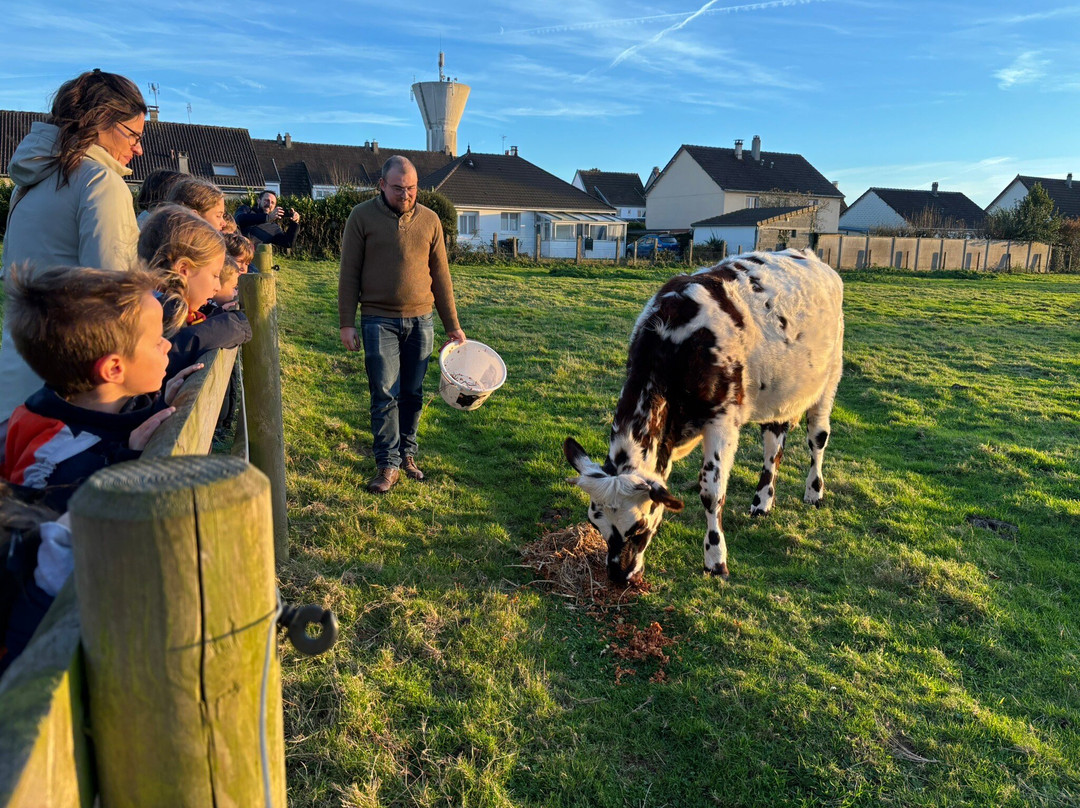 Ferme-Musée du Cotentin-Sainte-Mere-Eglise必去景点