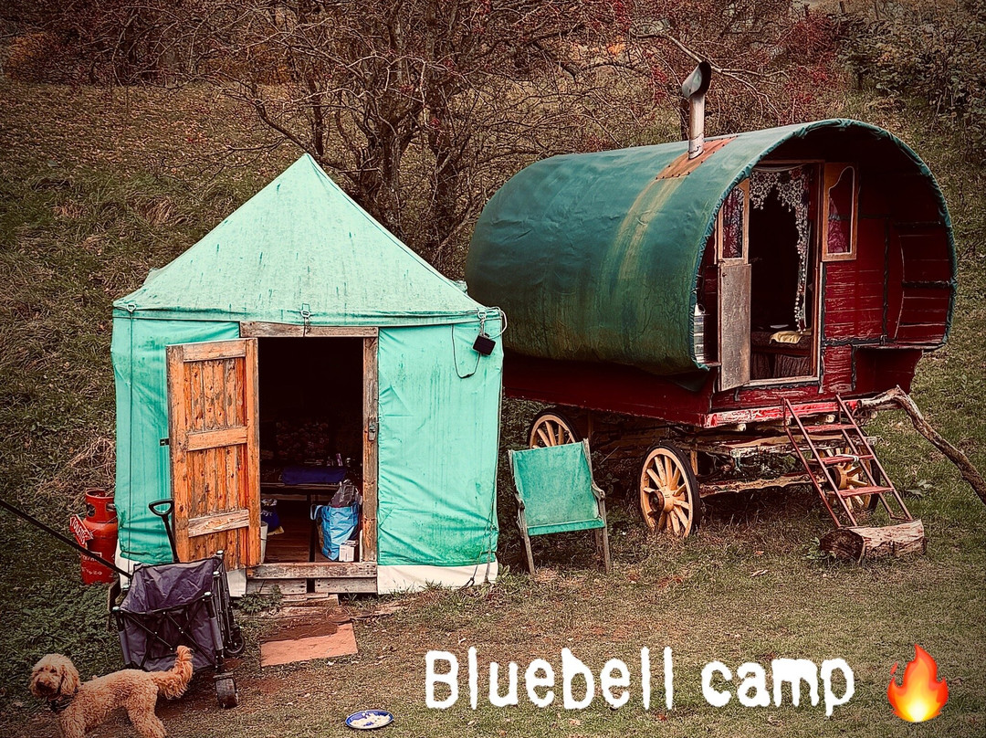 Wanderlusts Gypsy Caravans-彭里斯必去景点