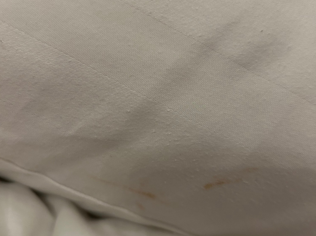 Ruthin Castle Hotel主图