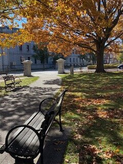 Lincoln Park-波特兰必去景点