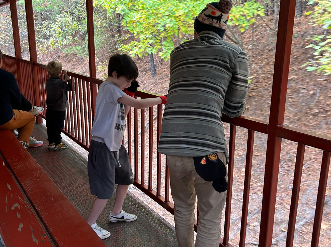 Heart of Dixie Railroad Museum-Calera必去景点