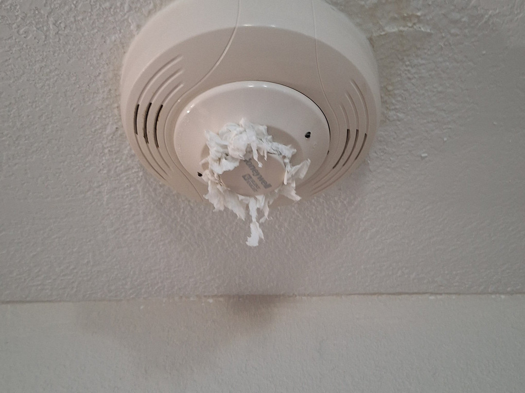 Days Inn by Wyndham Orange主图