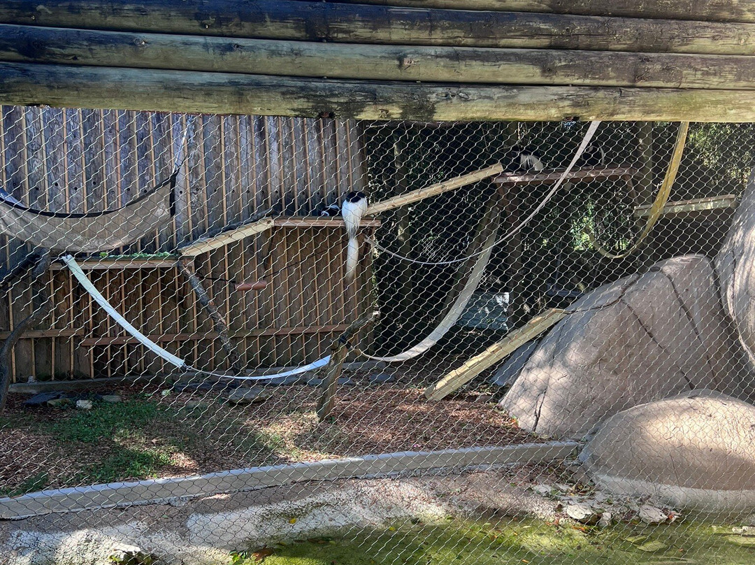 奥德邦动物园-新奥尔良必去景点