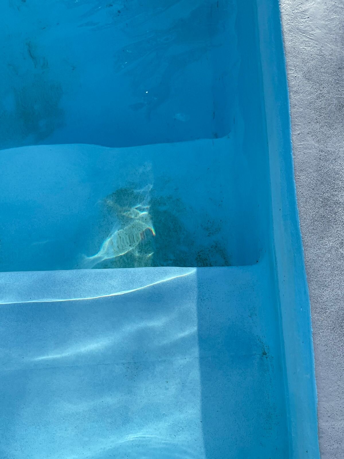 Auberge Les Filaos-官方