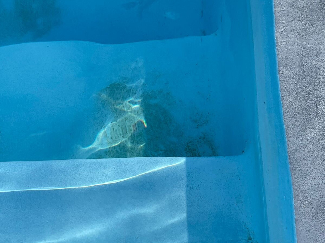 Auberge Les Filaos主图