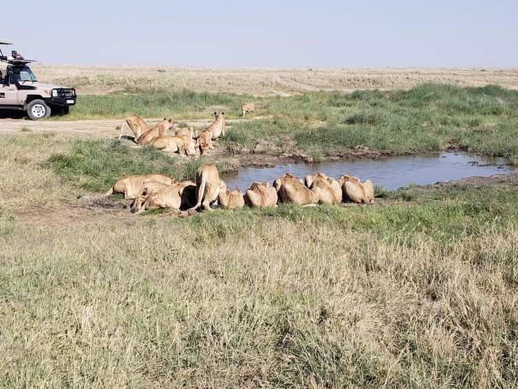 Serengeti National Park