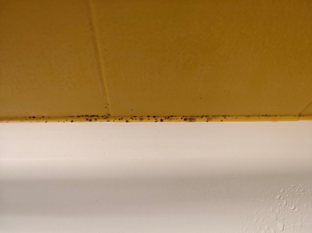 Kloster By B_smart主图