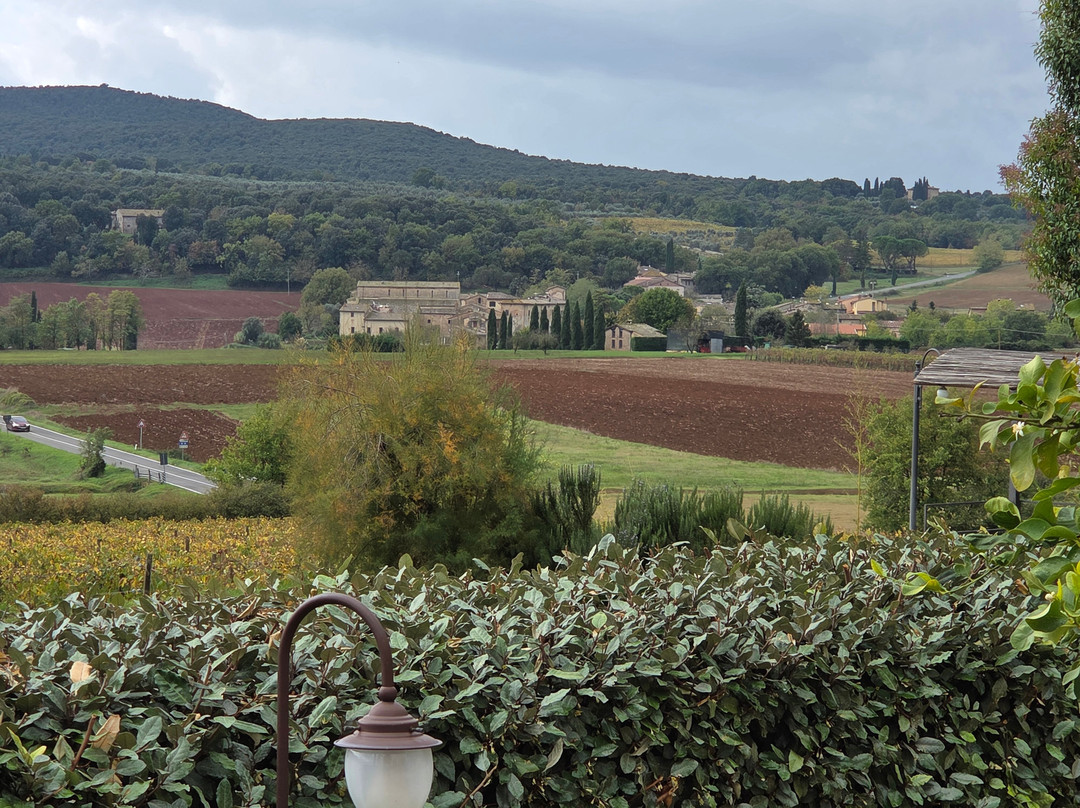 Cool Tours by Anna-佛罗伦萨必去景点