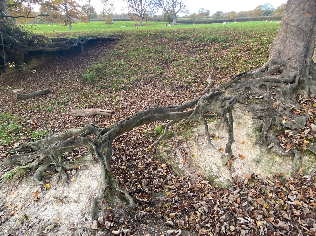 Sissinghurst Castle Estate Walking Trails-Sissinghurst必去景点