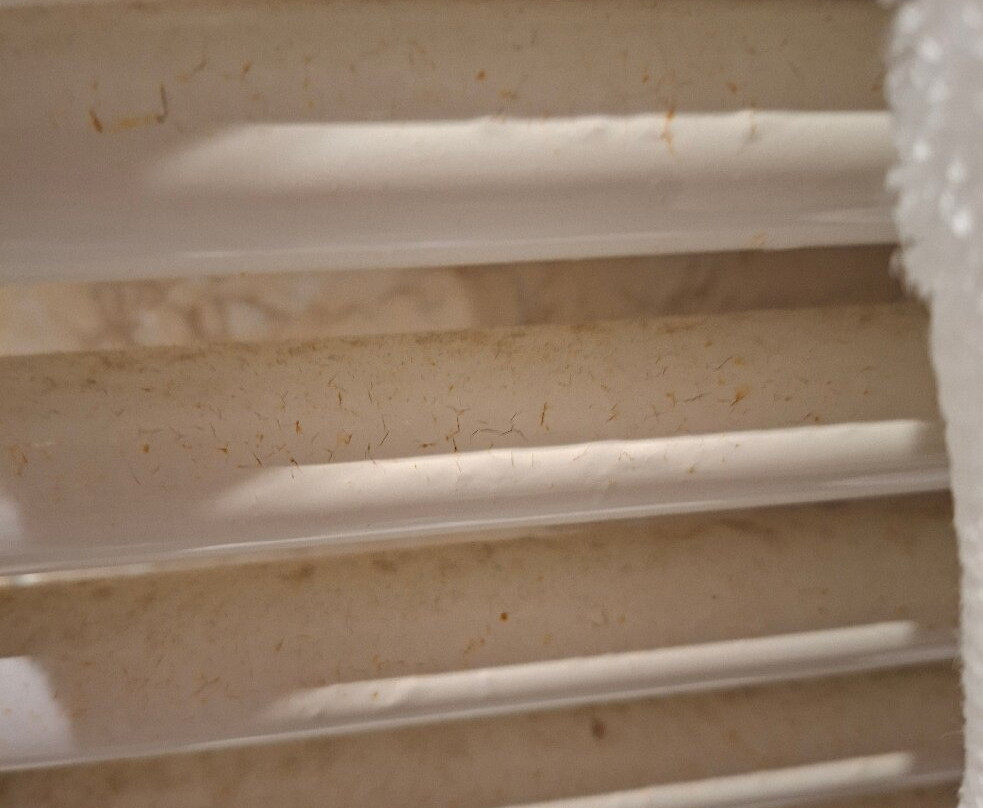 Hotel Bellavista Impruneta主图