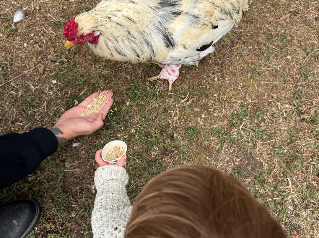 Secondhand Stories-Lombardy必去景点