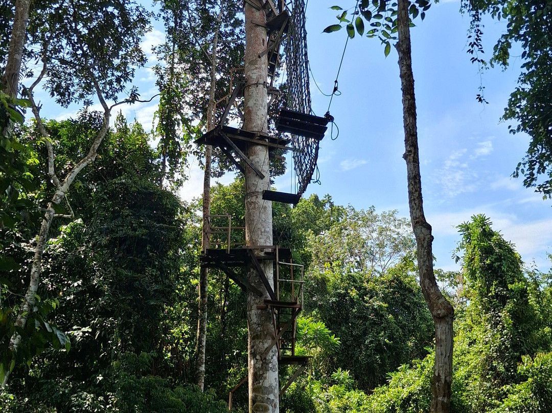 Avatar Amazon Lodge & Canopy Park主图