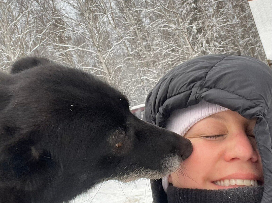 Cotter's Sled Dog Tours-费尔班克斯必去景点