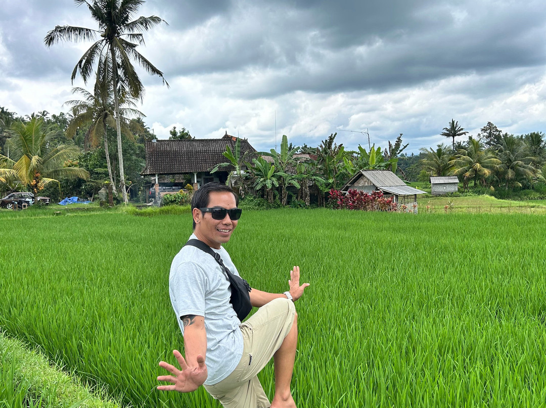 Driver Ubud-乌布必去景点