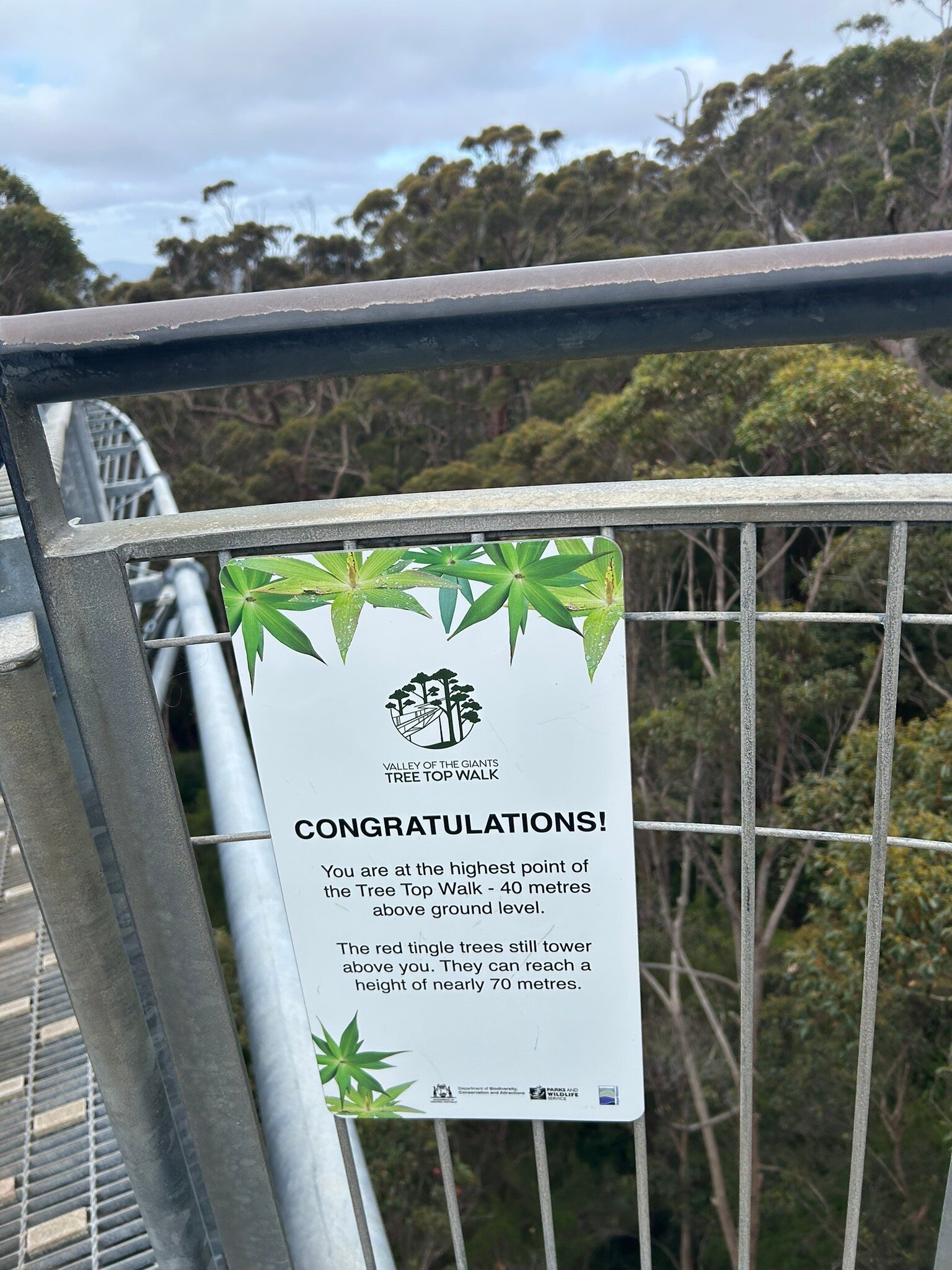 Tree Top Walk Motel-官方