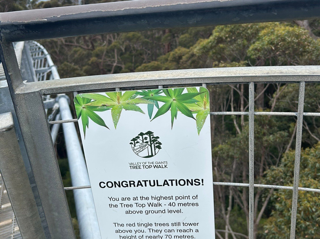 Tree Top Walk Motel主图