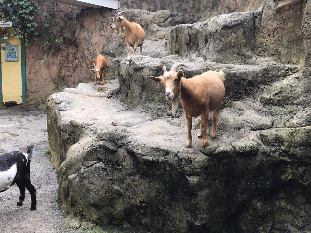 Rainforest Adventures-塞维尔维尔必去景点