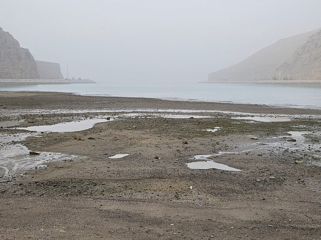 Aladdin Lamp Tours-迪拜必去景点