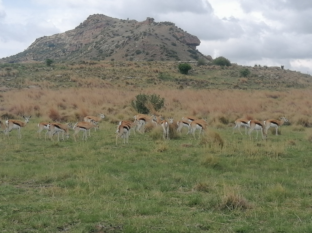 Uithoek-Fouriesburg必去景点
