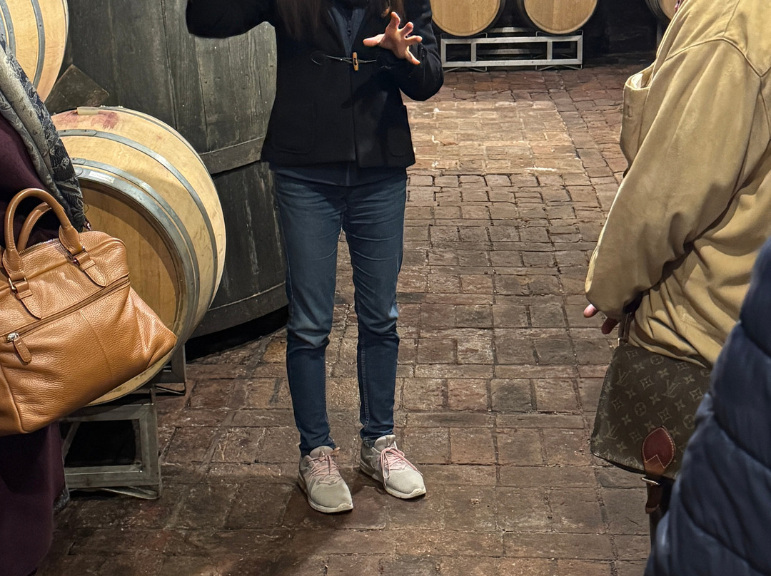 Azienda Agricola E. Pira & Figli Chiara Boschis-巴罗洛必去景点