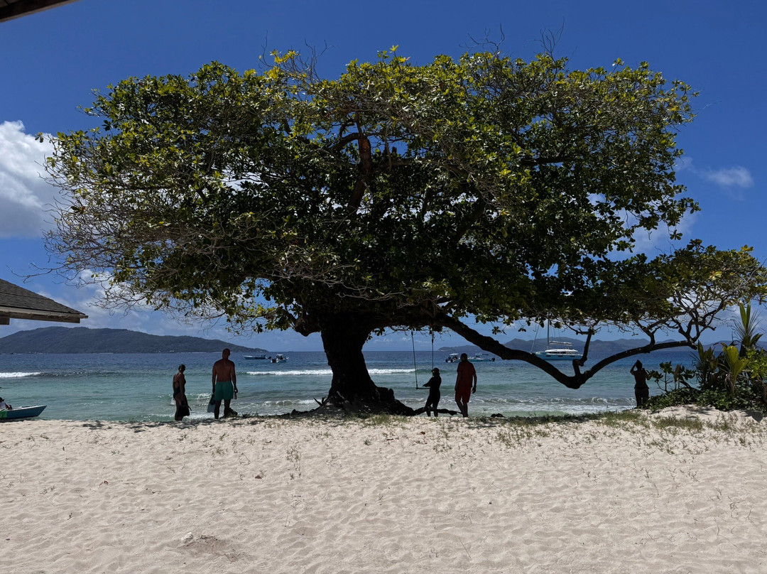 Zico Boat Excursions La Digue-La Passe必去景点
