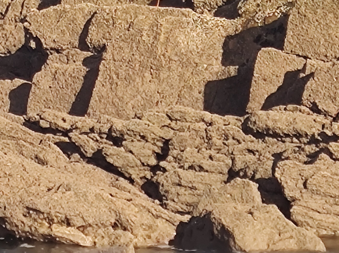 Cockenzie Harbour-Cockenzie必去景点