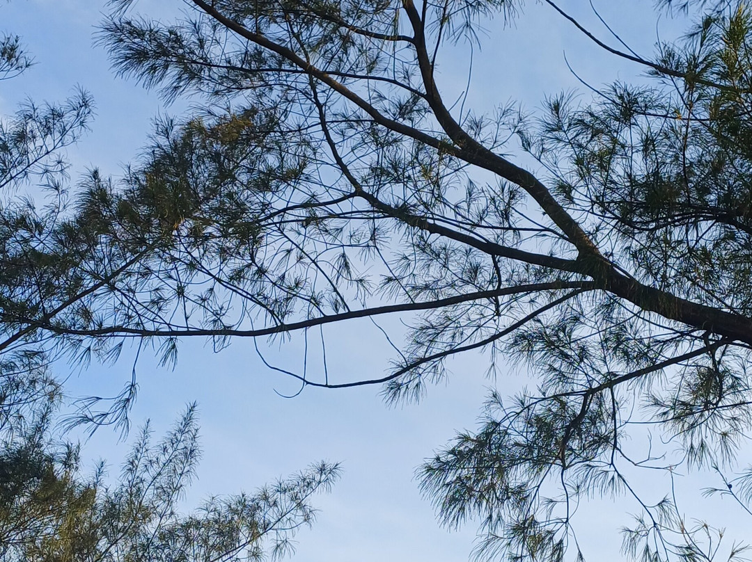 Paraiso Beach-Torres必去景点