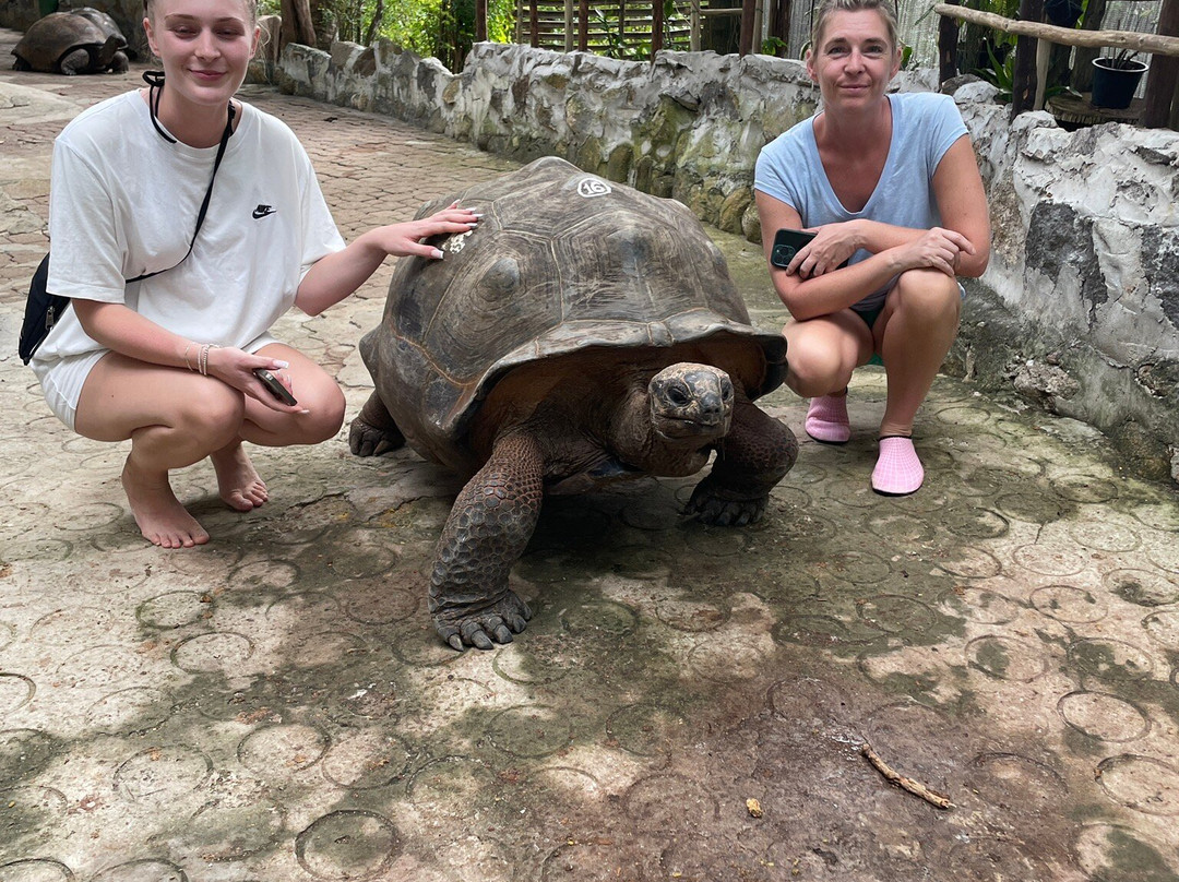 Mason's Travel-维多利亚必去景点