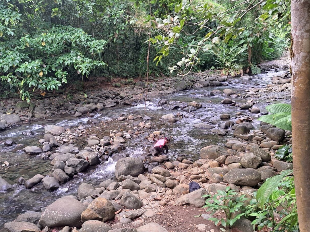 Canyon Moustique-Petit-Bourg必去景点