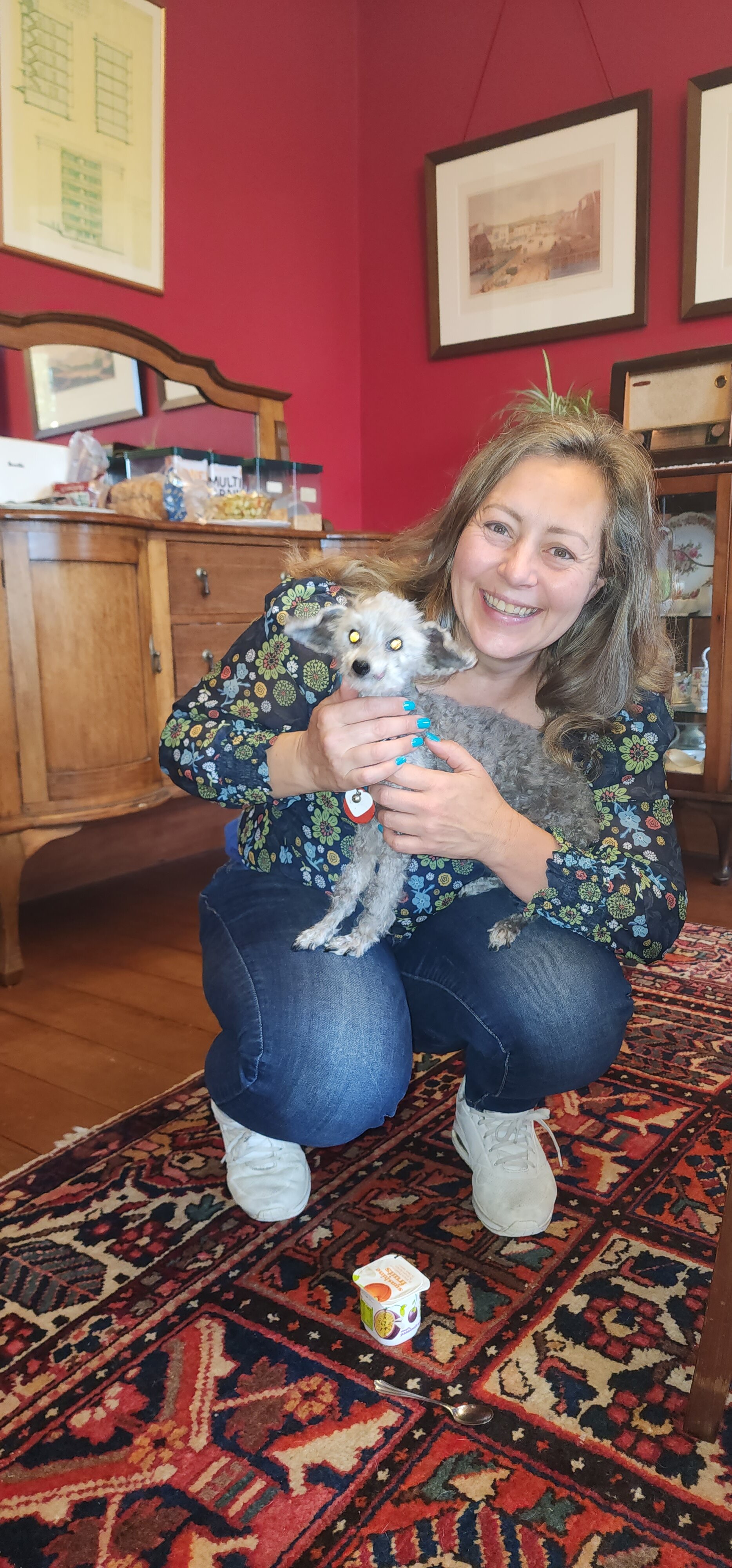 国会街布雷麦早餐客栈-官方