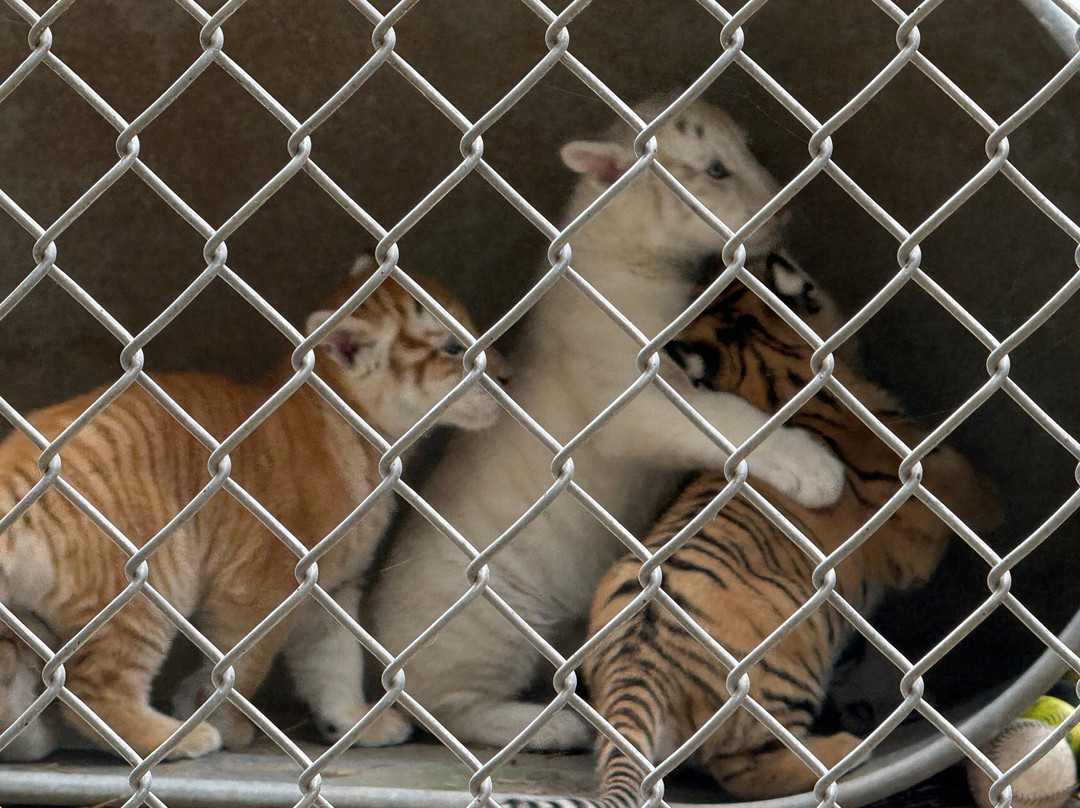 Shalom Wildlife Zoo-West Bend必去景点