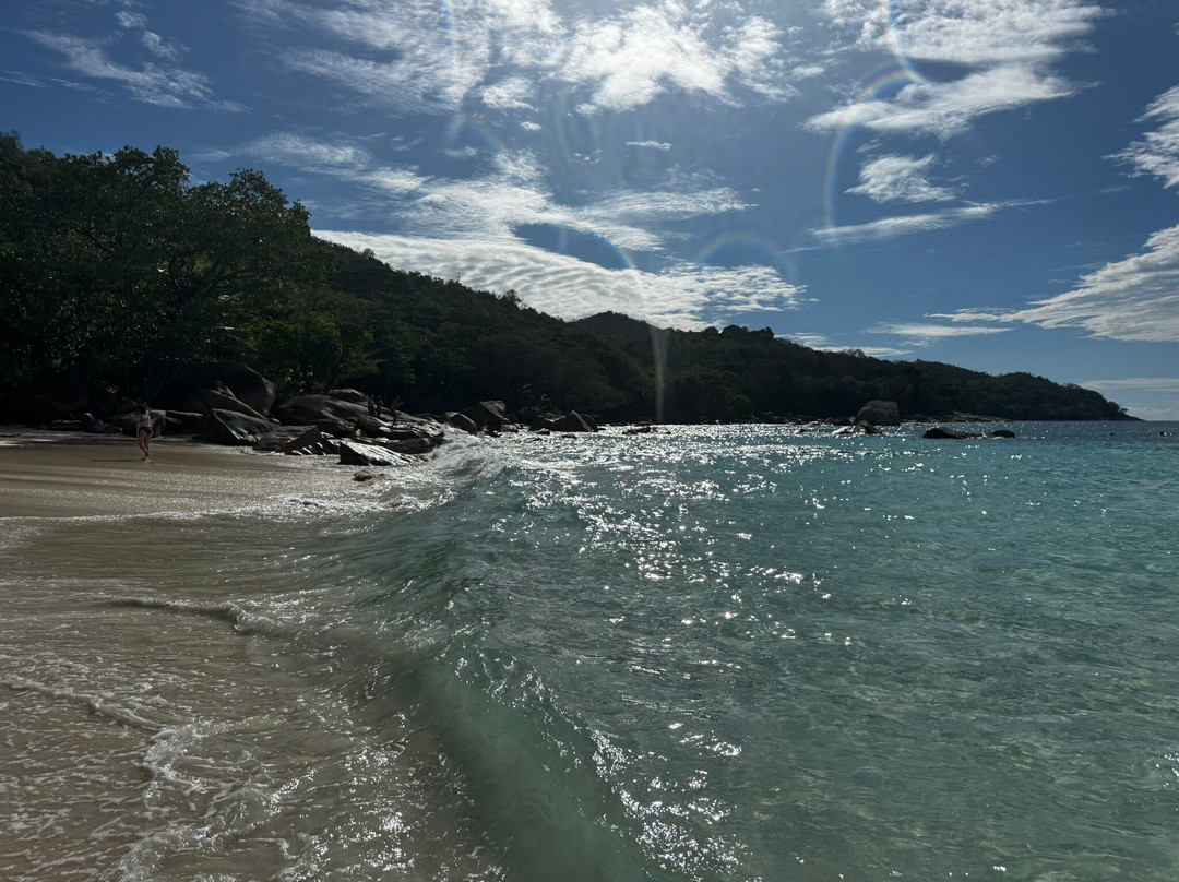 Mason's Travel-维多利亚必去景点