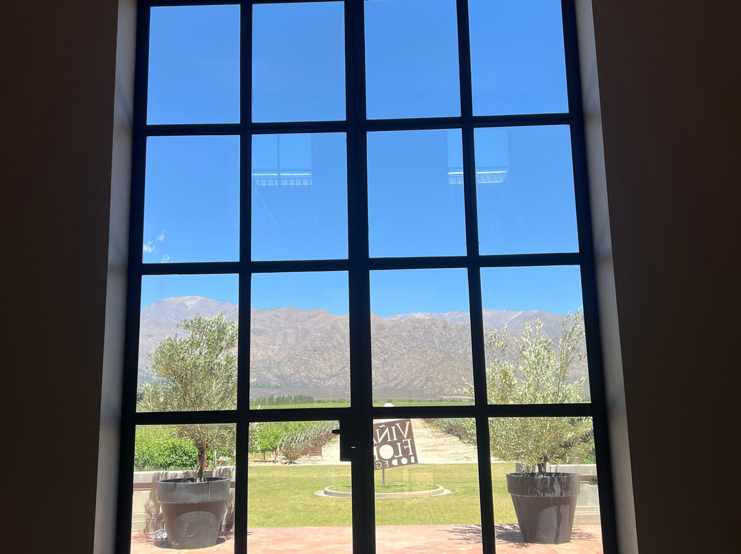 Viñas En Flor Bodega-卡法亚特必去景点