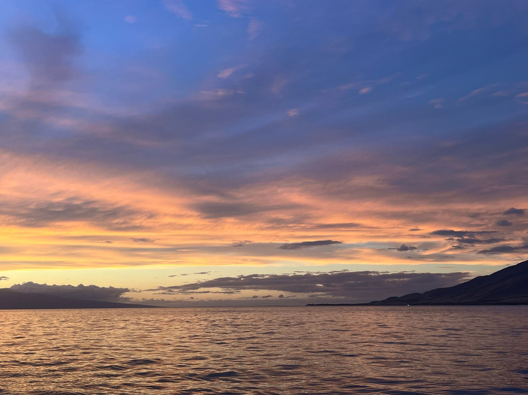 Sail Maui Private Tour-玛阿拉也亚必去景点