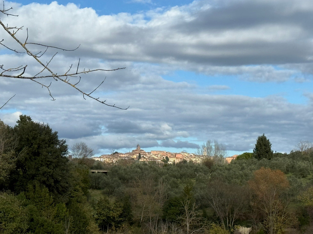 Madonnabella Winery & Wine Shop-锡耶纳必去景点